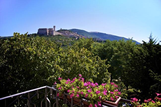 Country House Carfagna Assisi Exterior photo